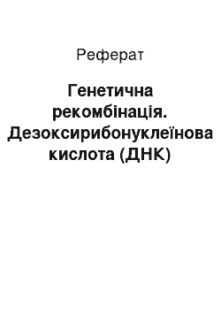 Реферат: Генетична рекомбінація. Дезоксирибонуклеїнова кислота (ДНК)