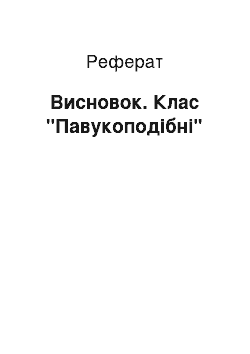 Реферат: Висновок. Клас "Павукоподібні"