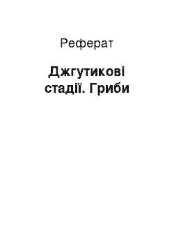 Реферат: Джгутикові стадії. Гриби