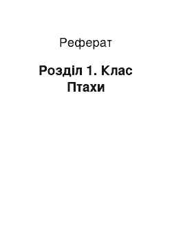 Реферат: Розділ 1. Клас Птахи