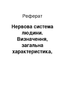 Реферат: Нервова система людини. Визначення, загальна характеристика, класифікація