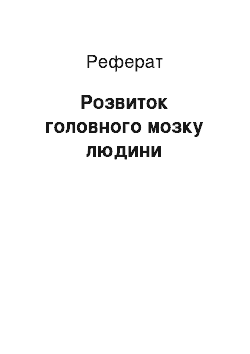 Реферат: Розвиток головного мозку людини