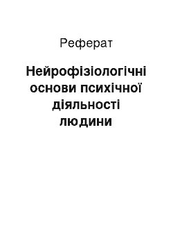 Реферат: Нейрофізіологічні основи психічної діяльності людини