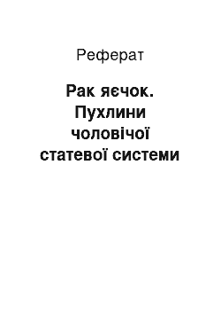 Реферат: Рак яєчок. Пухлини чоловічої статевої системи