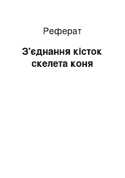 Реферат: Соединение костей скелета лошади