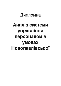 Дипломная: Аналіз системи управління персоналом в умовах Новопавлівської сільської ради