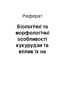 Реферат: Біологічні та морфологічні особливості кукурудзи та вплив їх на технологію вирощування