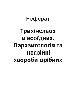 Реферат: Трихінельоз м'ясоїдних. Паразитологія та інвазійні хвороби дрібних тварин