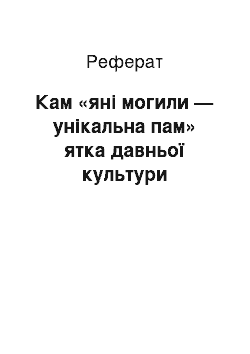 Реферат: Кам «яні могили — унікальна пам» ятка давньої культури