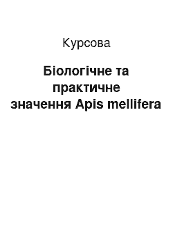 Курсовая: Біологічне та практичне значення Apis mellifera