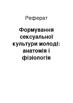 Реферат: Формування сексуальної культури молоді: анатомія і фізіологія статевих органів людини