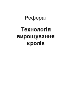 Реферат: Технологія вирощування кролів