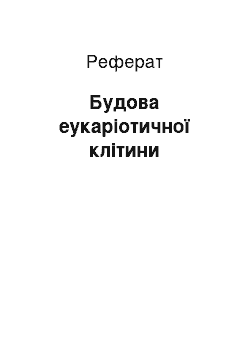 Реферат: Строение эукариотической клетки