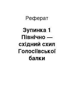 Реферат: Зупинка 1 Північно — східний схил Голосіївської балки