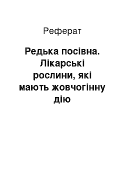 Реферат: Редька посевная. Лекарственные растения, которые оказывают желчегонное действие