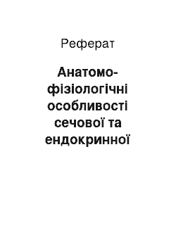 Реферат: Анатомо-фізіологічні особливості сечової та ендокринної систем в дітей