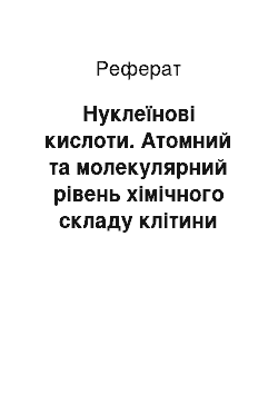 Реферат: Нуклеїнові кислоти. Атомний та молекулярний рівень хімічного складу клітини