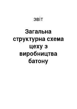 Отчёт: Загальна структурна схема цеху з виробництва батону