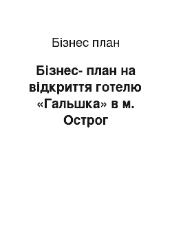 Бизнес-план: Бізнес-план на відкриття готелю «Гальшка» в м. Острог