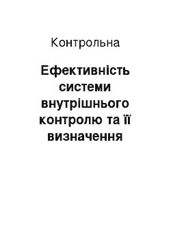 Контрольная: Ефективність системи внутрішнього контролю та її визначення