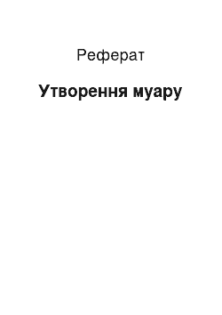 Реферат: Утворення муару