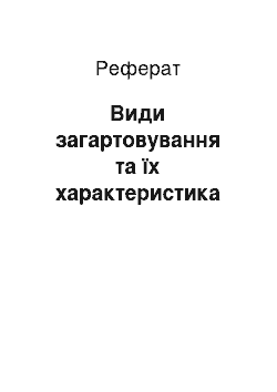 Реферат: Види загартовування та їх характеристика