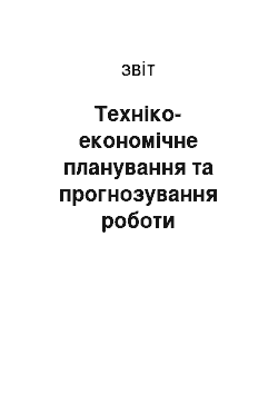 Отчёт: Техніко-економічне планування та прогнозування роботи підприємства «Ларіс»