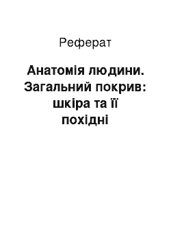 Реферат: Анатомія людини. Загальний покрив: шкіра та її похідні