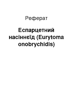 Реферат: Еспарцетний насіннєїд (Eurytoma onobrychidis)