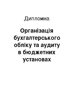 Дипломная: Організація бухгалтерського обліку та аудиту в бюджетних установах