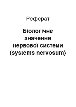 Реферат: Біологічне значення нервової системи (systems nervosum)