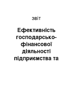 Отчёт: Ефективність господарсько-фінансової діяльності підприємства та шляхи її підвищення на прикладі ТОВ «Металоіндустрія Плюс»