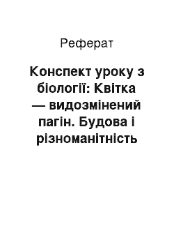 Реферат: Конспект уроку з біології: Квітка — видозмінений пагін. Будова і різноманітність квіток