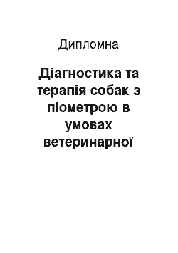 Дипломная: Діагностика та терапія собак з піометрою в умовах ветеринарної клініки «Лідер» (м. Харків)