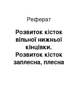 Реферат: Розвиток кісток вільної нижньої кінцівки. Розвиток кісток заплесна, плесна і пальців. Вікові, статеві та індивідуальні особливості скелета вільної нижньої кінцівки. Розвиток кісток голови-вікові, статеві, індивідуальні та расові особливості їх