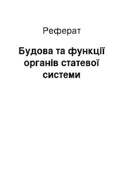 Реферат: Будова та функції органів статевої системи