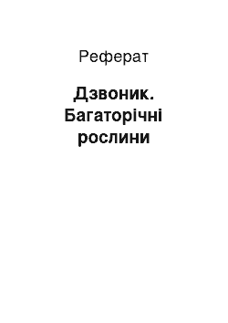 Реферат: Дзвоник. Багаторічні рослини