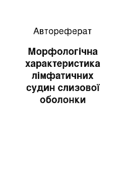 Автореферат: Морфологічна характеристика лімфатичних судин слизової оболонки решітчастого лабіринту людини