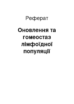 Реферат: Обновление и гомеостаз лимфоидной популяции