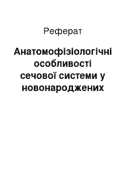 Реферат: Анатомофізіологічні особливості сечової системи у новонароджених