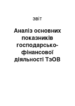 Отчёт: Аналіз основних показників господарсько-фінансової діяльності ТзОВ СУАП «Євроком»