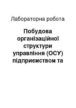 Лабораторная работа: Побудова організаційної структури управління (ОСУ) підприємством та оцінювання рівня її відповідності сучасним вимогам управління