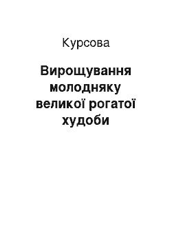 Курсовая: Вирощування молодняку великої рогатої худоби