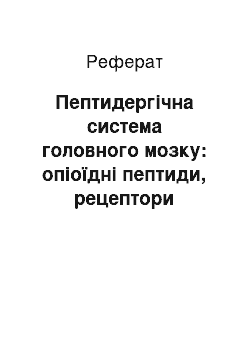 Реферат: Пептидергічна система головного мозку: опіоїдні пептиди, рецептори опіоїдних пептидів