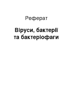 Реферат: Віруси, бактерії та бактеріофаги