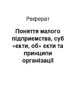 Реферат: Поняття малого підприємства, суб «єкти, об» єкти та принципи організації обліку на малому підприємстві