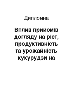 Дипломная: Вплив прийомів догляду на ріст, продуктивність та урожайність кукурудзи на зерно