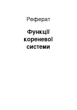 Реферат: Функції кореневої системи