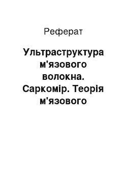 Реферат: Ультраструктура мышечного волокна. Саркомер. Теория мышечного сокращения