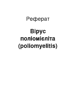 Реферат: Вірус поліомієліта (poliomyelitis)